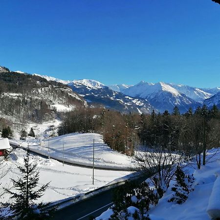 Gemuetliche Fewo Mit Sauna Inmitten Der Berge Meiringen Extérieur photo
