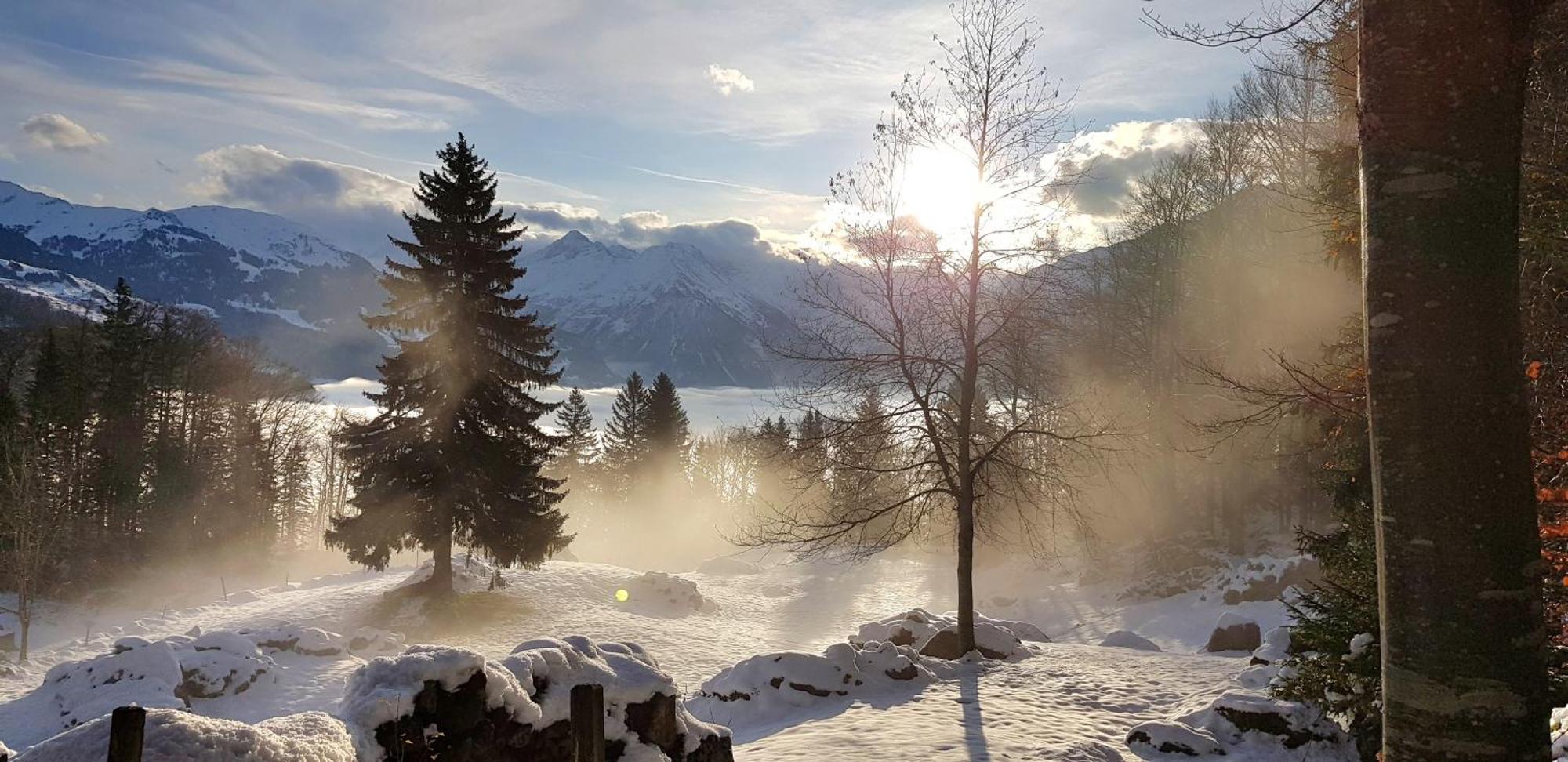 Gemuetliche Fewo Mit Sauna Inmitten Der Berge Meiringen Extérieur photo
