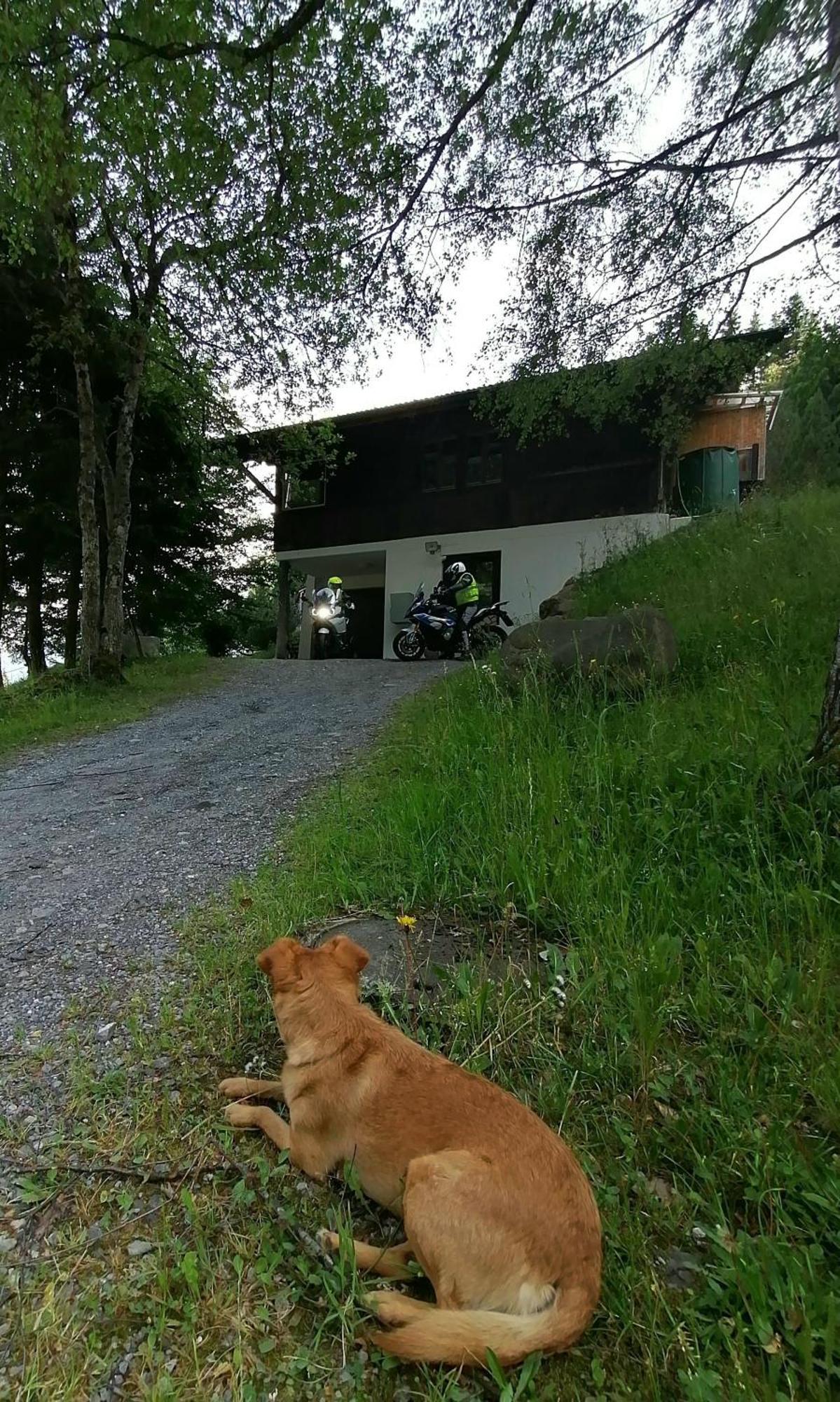 Gemuetliche Fewo Mit Sauna Inmitten Der Berge Meiringen Extérieur photo