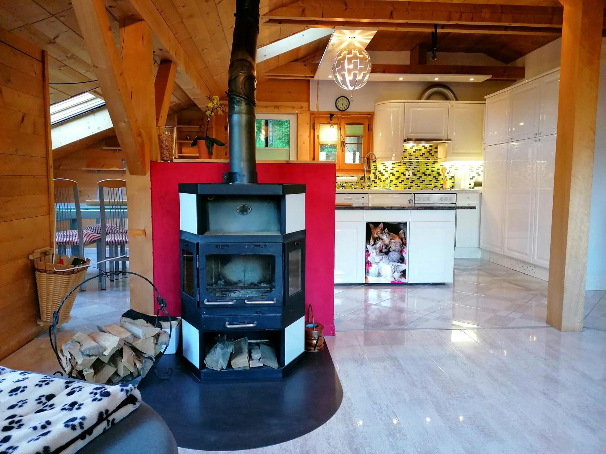 Gemuetliche Fewo Mit Sauna Inmitten Der Berge Meiringen Extérieur photo
